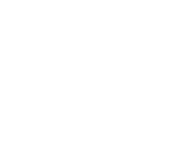 Evolution games at Spinni Casino